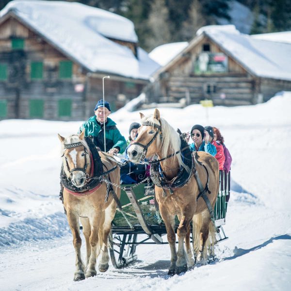 Pferdeschlittenfahrt am Obertauern