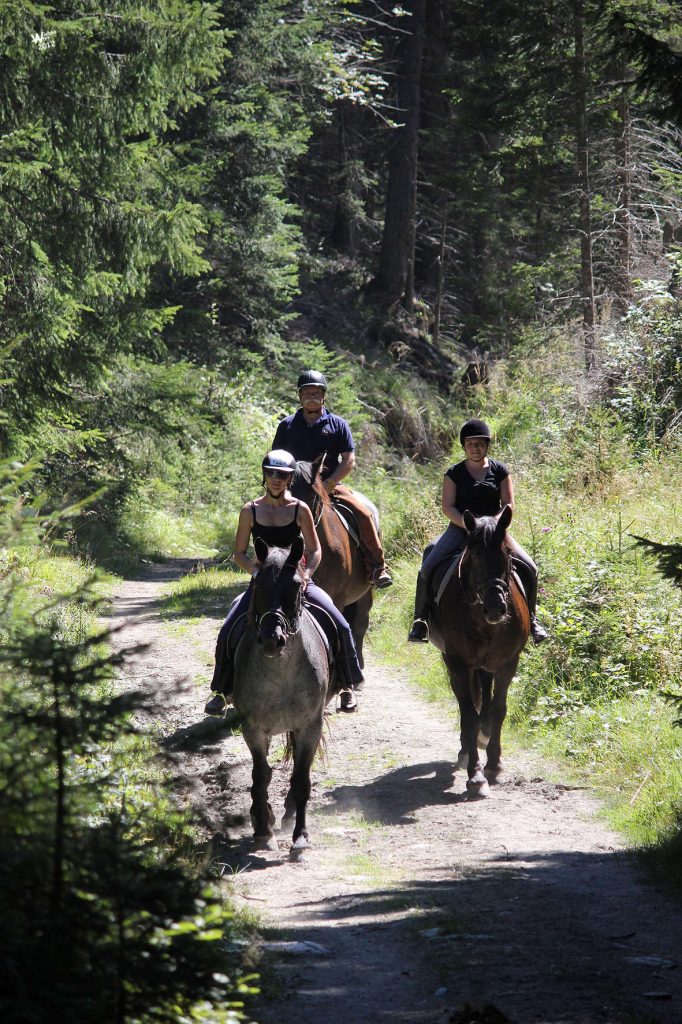 Reiten in Tweng bei Obertauern